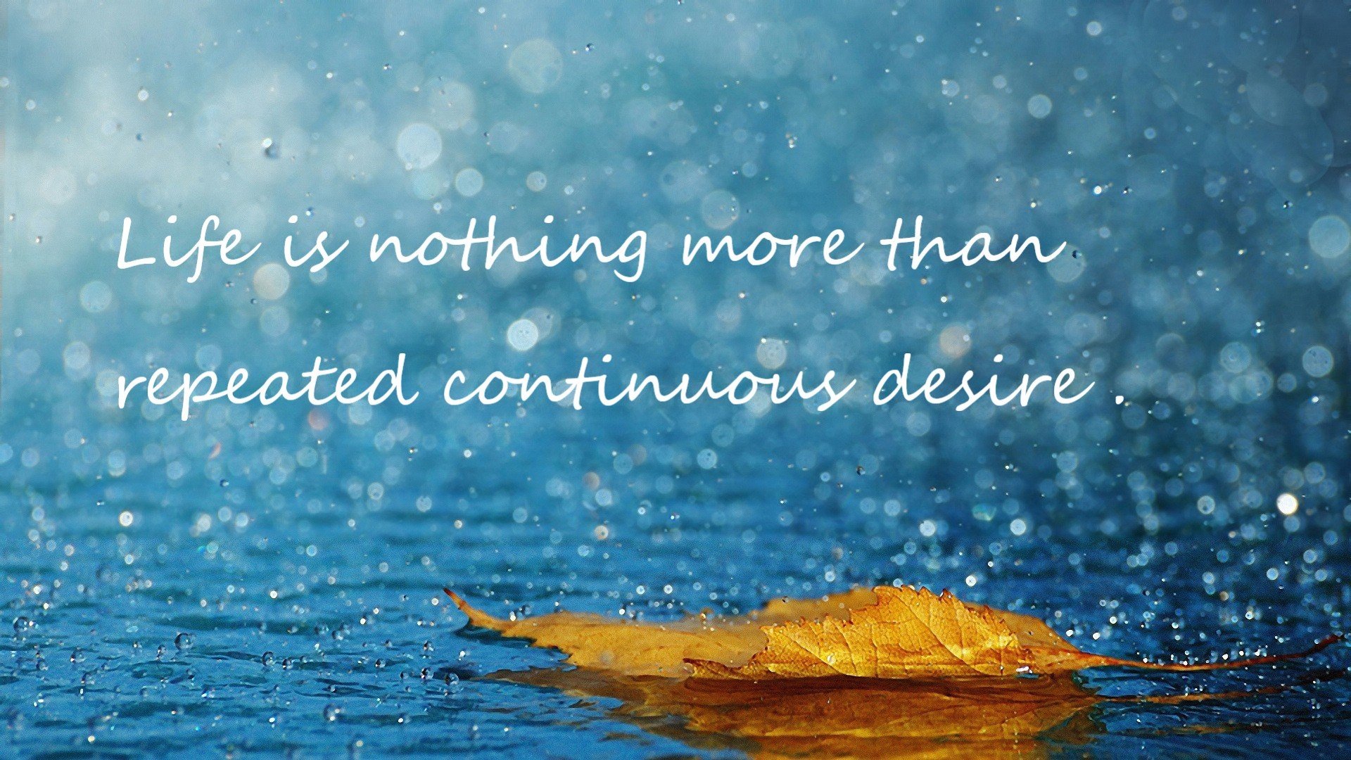 拉文狂轰45分对飚约基奇！掘金客场险胜尼克斯