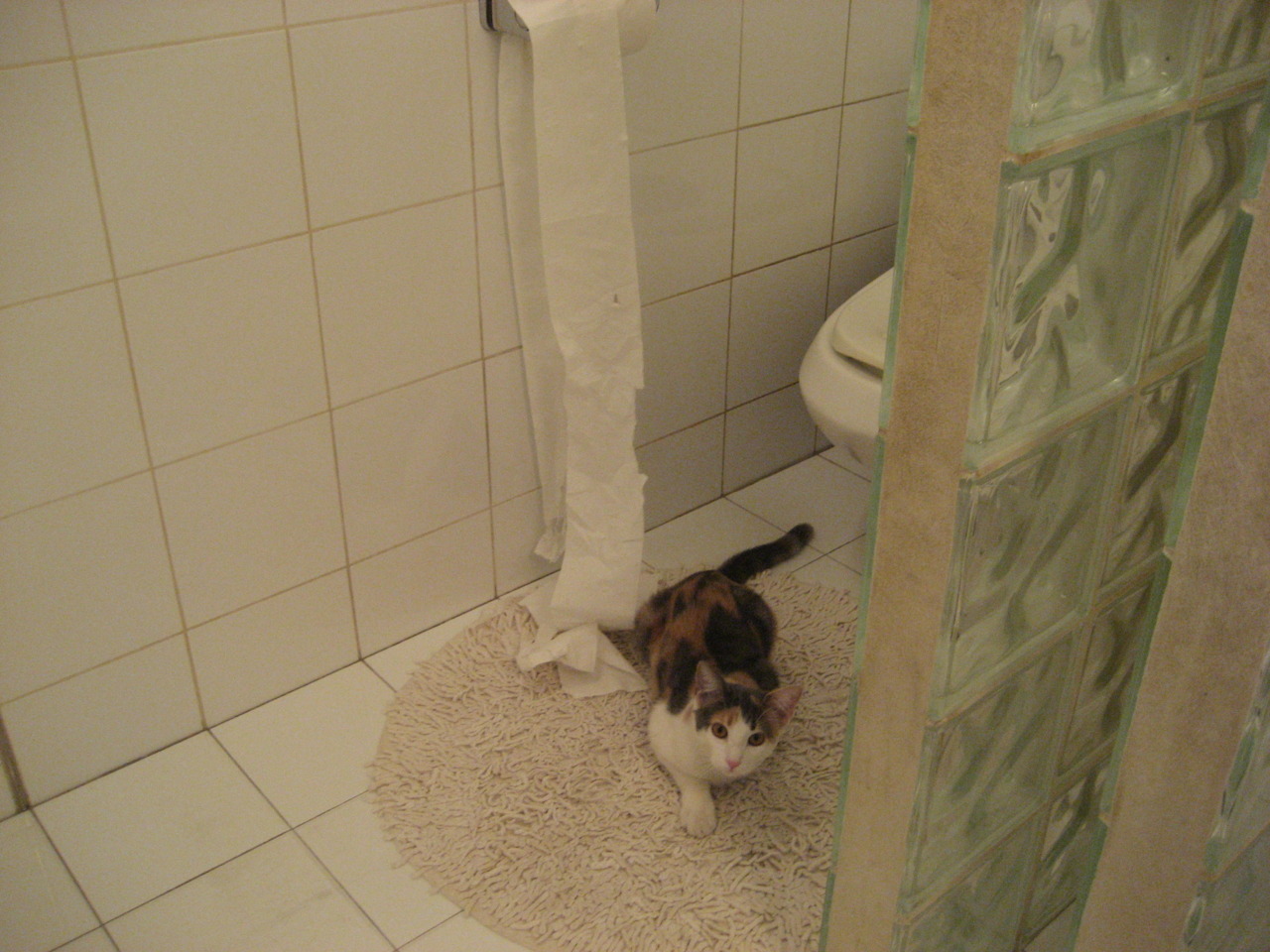 赛道交响诗，当维斯塔潘的休止符，奏响法拉利的凯歌