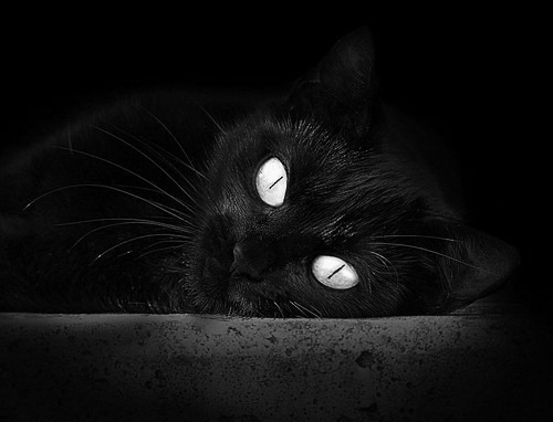 开云体育官网-代码觉醒，当马龙挥拍截断英格兰的方程式