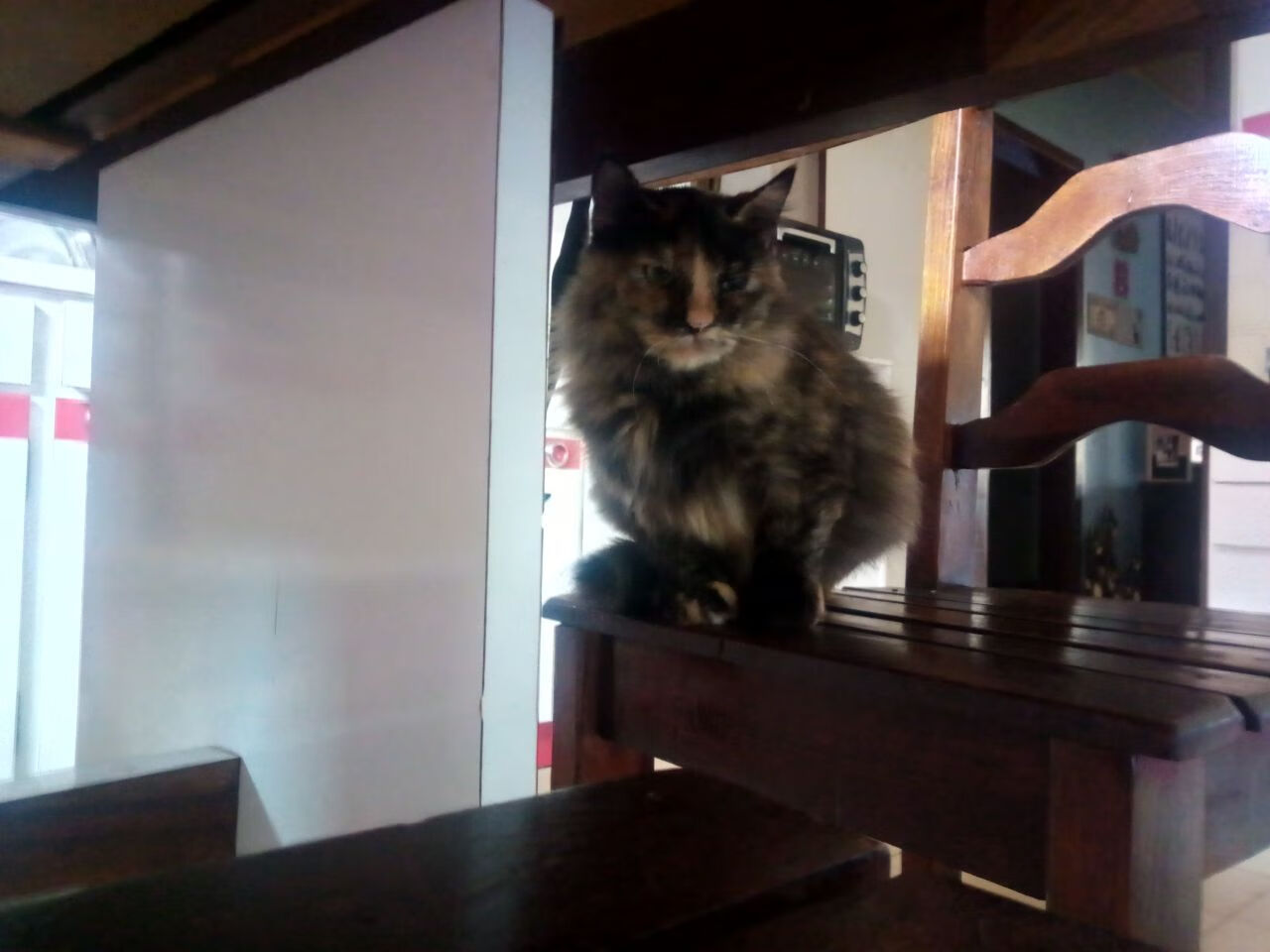 开云体育在线-骄阳与月光，足球世界里两种胜利的辩证