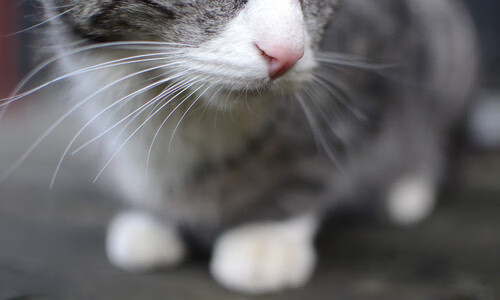 开云体育app-那夜奥亚尔萨瓦尔一脚踢碎沉默，也踢飞了我循规蹈矩的人生