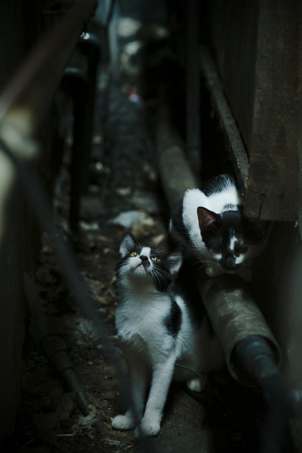 跨界的宿命，NBA季后赛与梅西共享的终极法则