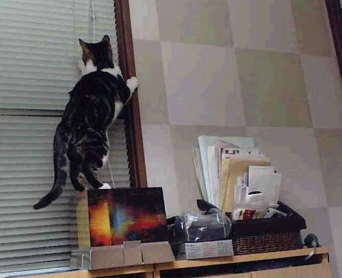 巫师托尼施魔法！维京人踏平安菲尔德