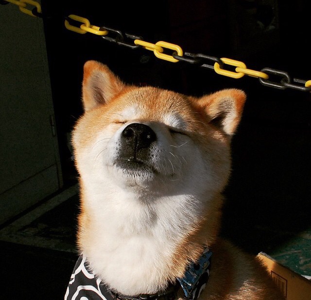 冷板凳杀出的另类詹姆斯，开拓者狂胜背后的关键先生