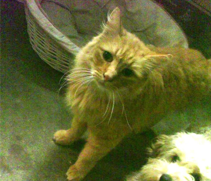 开云体育APP下载-掌控与粉碎，哈登的节奏艺术与奇才队的战术破局—当个人英雄主义遇上团队解构